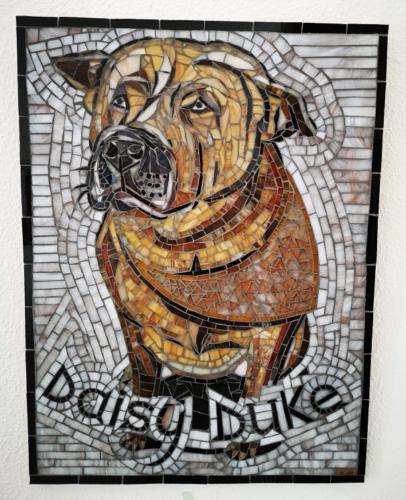 Pet Portraits - Mosaic