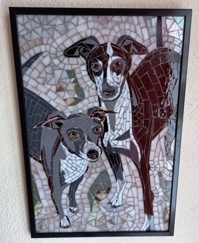 Pet Portraits - Mosaic