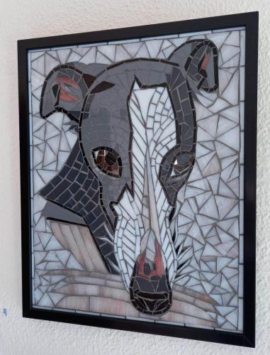 Pet Portraits - Mosaic